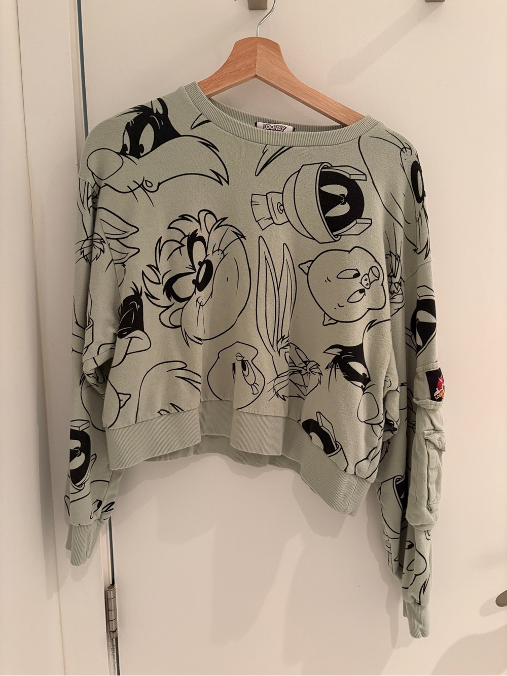 Zara Light Green Looney Tunes Graphic Cropped Sweatshirt